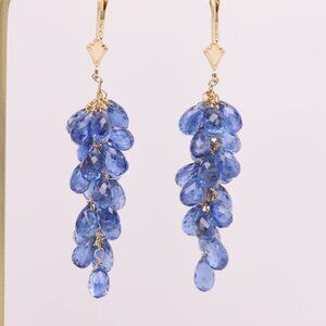 Blue Grape Vine Dangle Earrings 14K Gold Brilliant Kyanite Blue Gemstone